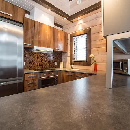 Holidays Vakantiehuis Levi